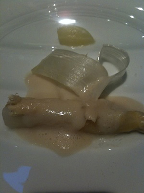 Asparagus Asparagus