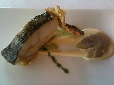 Turbot