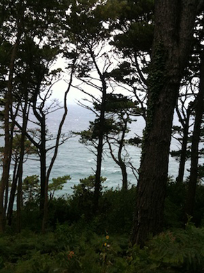 Views again