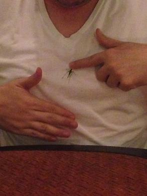 It is Mr Grasshopper