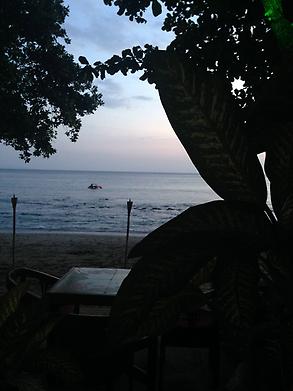 View from Lotus Flower