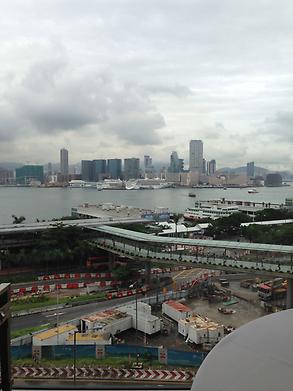 The view