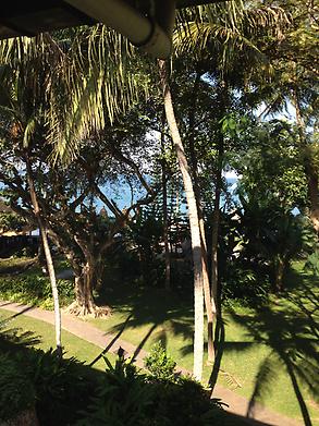 The view