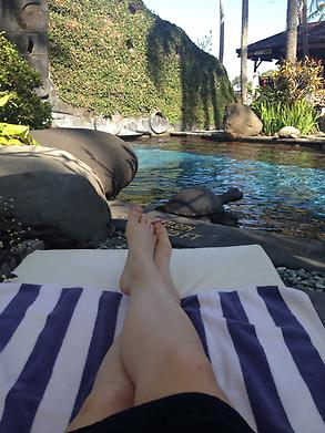 Pool time