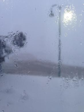 Window shot