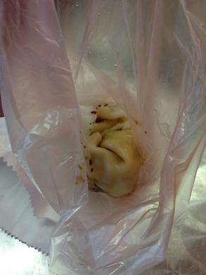Dim sims in a bag